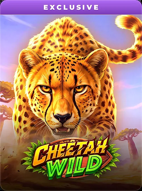 Cheetah Wild, EXCLUSIVE