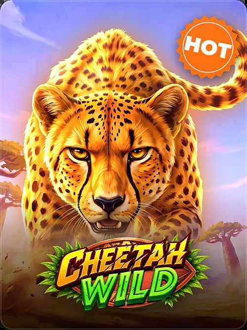 Cheetah Wild, HOT