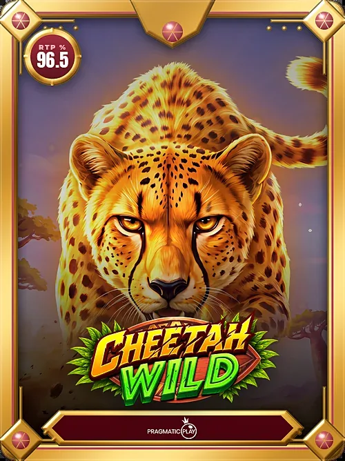 Cheetah Wild card frame in gold finish with RTP medallion and provider plate