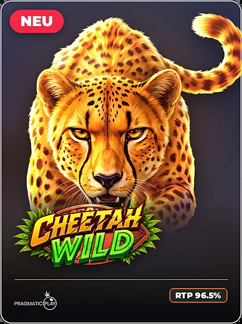 Cheetah Wild, Pragmatic Play, Krypto clean