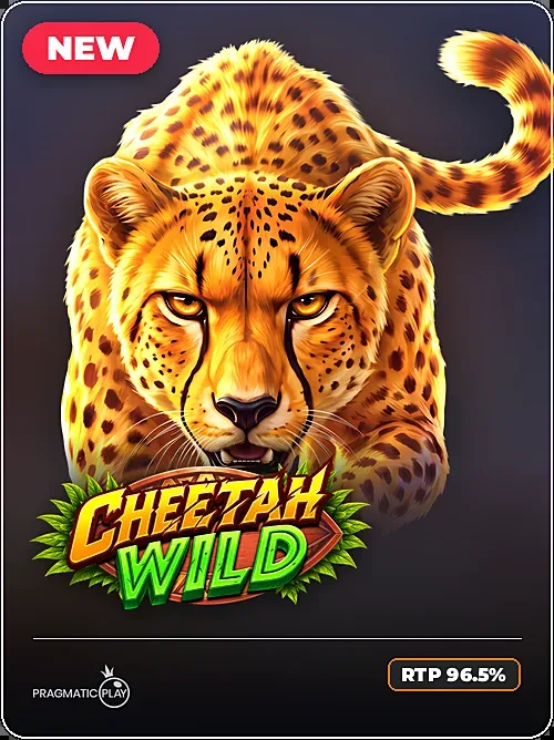 Cheetah Wild, Pragmatic Play, Crypto clean