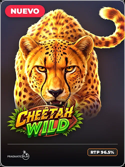 Cheetah Wild, Pragmatic Play, Cripto clean
