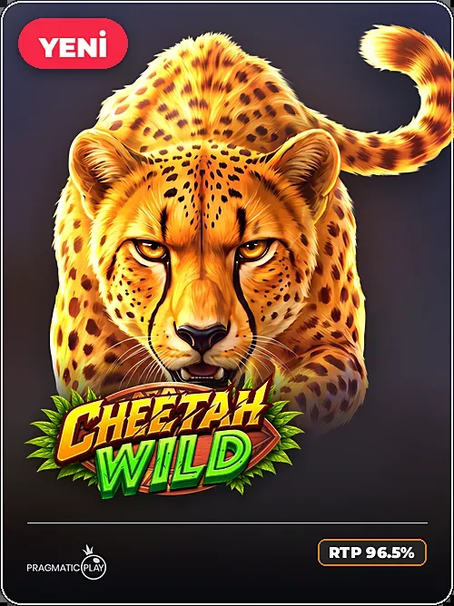 Cheetah Wild, Pragmatic Play, Kripto sade
