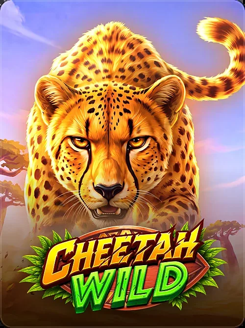 Cheetah Wild, Pragmatic Play, Hero over logo