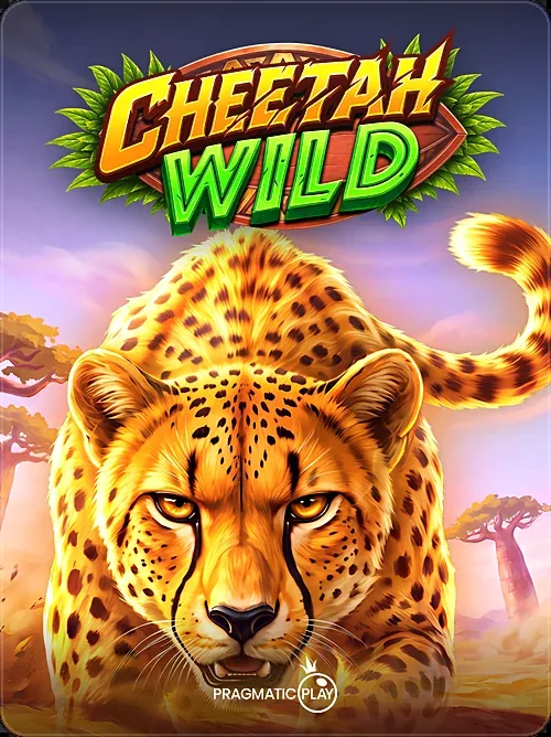 Cheetah Wild, Pragmatic Play, Logo on top