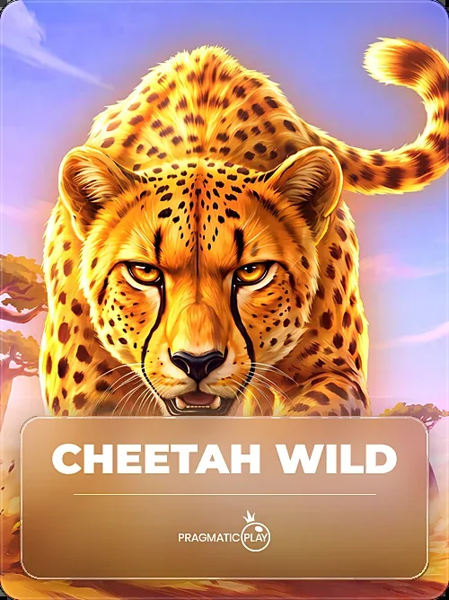 Cheetah Wild, Pragmatic Play, Glass card