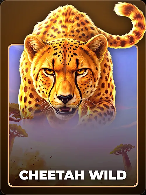 Cheetah Wild, Pragmatic Play, Pop-out