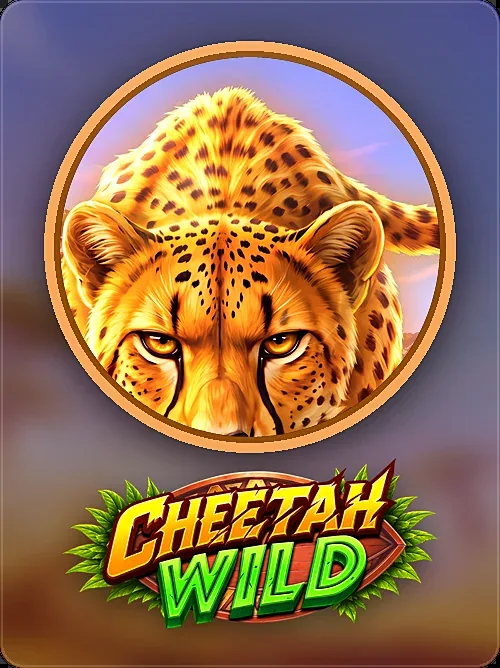 Cheetah Wild, Pragmatic Play, Spotlight