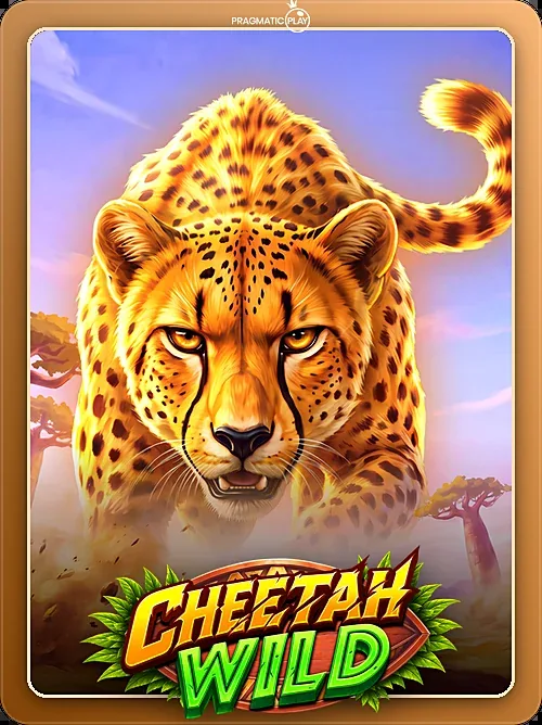 Cheetah Wild, Pragmatic Play, Outer frame