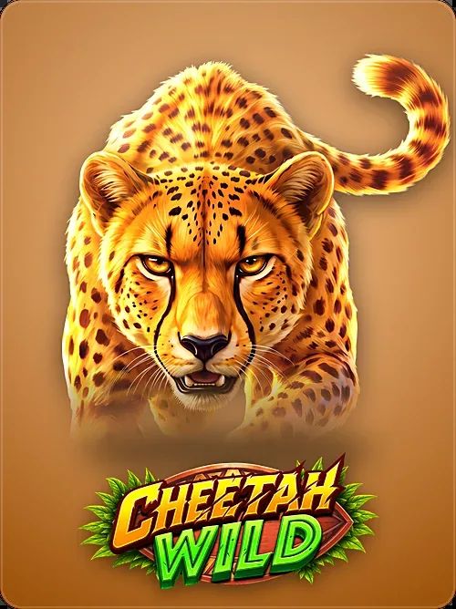 Cheetah Wild, Pragmatic Play, Studio cutout