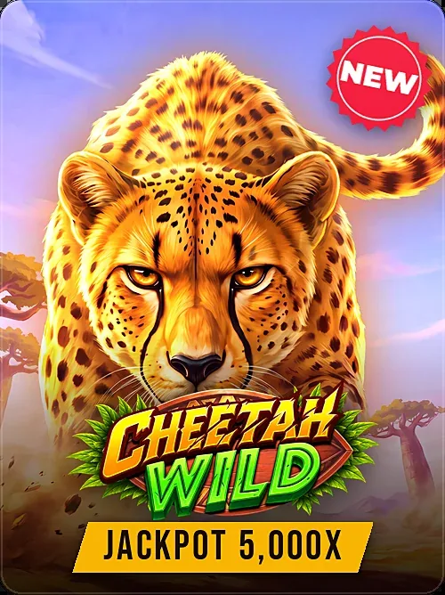 Cheetah Wild, Pragmatic Play, Jackpot sticker
