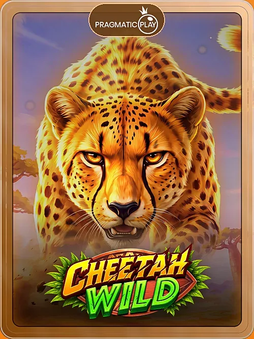 Cheetah Wild lobby tile with outer frame layout